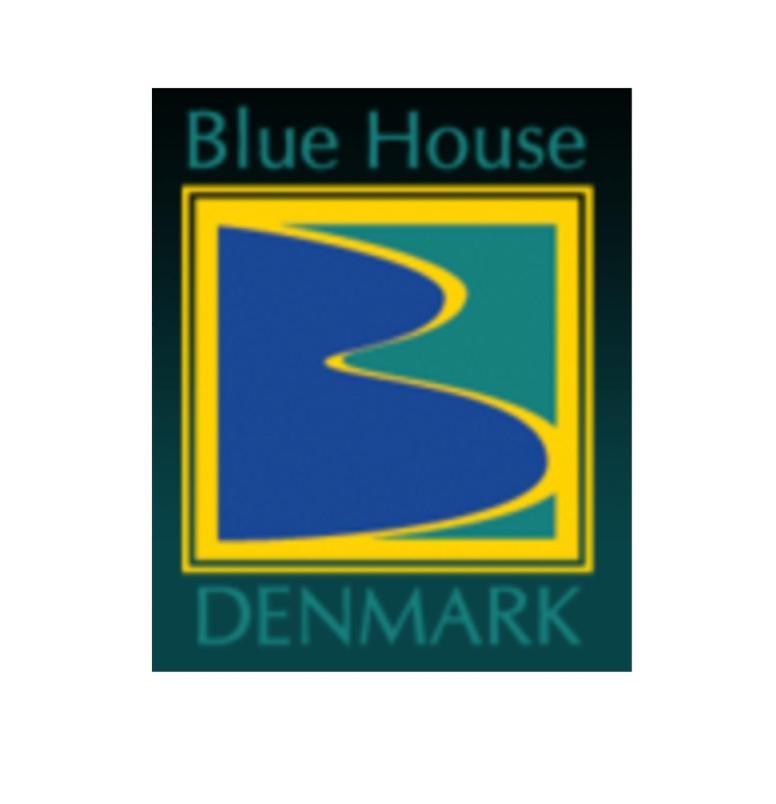 Willa Blue House Denmark Zewnętrze zdjęcie
